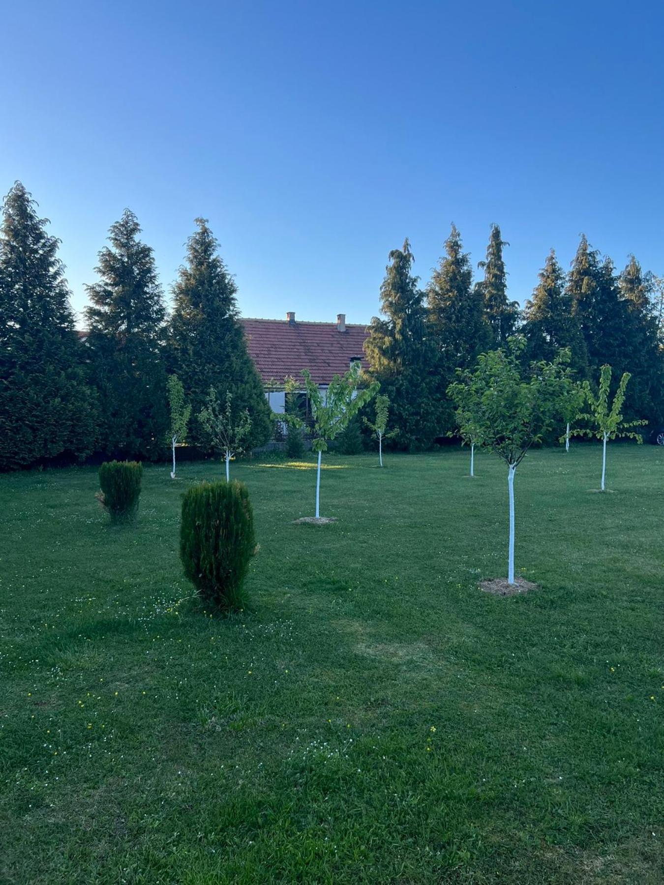& Camp Stanisic * Никшич